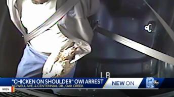 Alleged Drunk Driver Was Driving With Chicken On His Shoulder