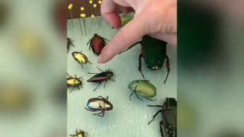 Hot photoshoot of Reese Witherspoon