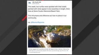 Authorities Alarmed After Turtles Spotted With Apparent Swastikas On Shells