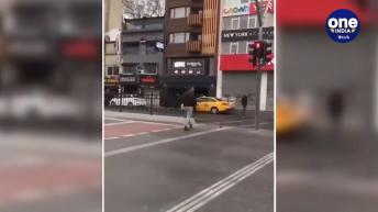 కుక్క నేర్పిన పాఠం