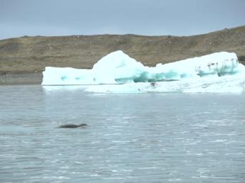 Stunning Nature Timelapse From Iceland!