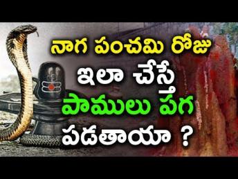 పాముకు పాలు పోస్తున్నారా ? | నాగ పంచమి రోజు ఏ