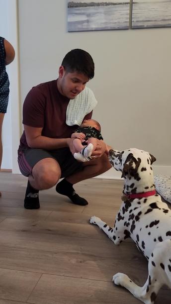 Family dog meets new baby addition