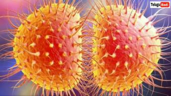 Top 10 Interesting and Amazing Facts in Telugu | Episode44 | Unknown Facts | Telugu Badi