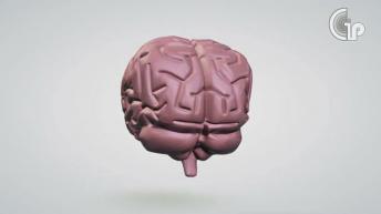 दिमाग तेज करने के आसान उपाय | How to Improve Brain | Healthy Remedy