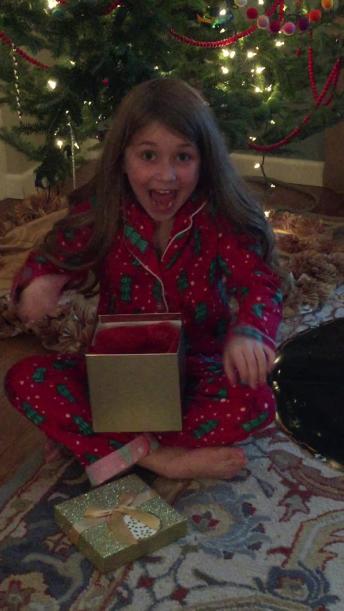 Little girl utterly surprised by hamster for Christmas
