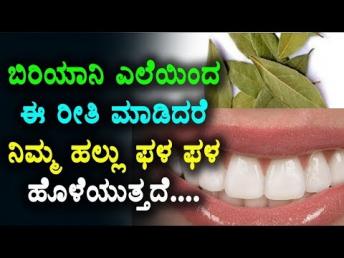 ಈ ಎಲೆಯನ್ನು ಅಗೆದು ಚಪ್ಪರಿಸಿ ರಸ ಕುಡಿಯಿರಿ ಆಮೇ 