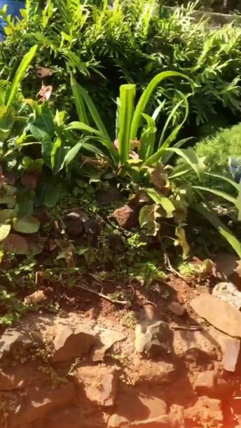 Dil ki khataa bhi kya