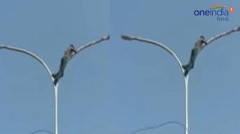 नोएडा में शराब के नशे में जब पोल पर चढ़ गया शख्स, फिर क्या हुआ देखें Video