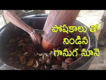 cold pressed oils | పోషకాలు తో నిండిన గానుగ నూనె