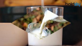Full-Cream Milk: Benefits | फुल क्रीम या टोन्&zwj;ड मिल्&zwj;क, जानें क्या है बेहतर?