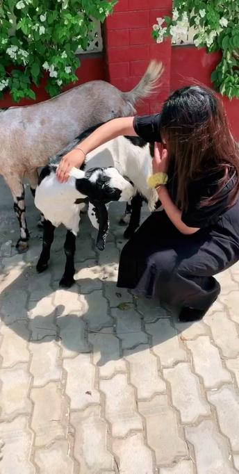 I just love animals heart eyes  atleast they don’t cheat like humans 