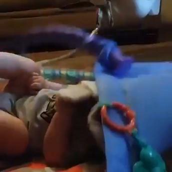 Babies are soo funny and cute