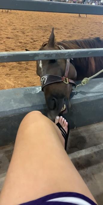 Playful Horse Nibbles at Toes