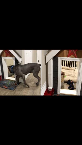 DEVOTED DOG OWNER BUILDS AMAZING UNDERSTAIRS HOME FOR HIS TWO POOCHES COMPLETE WITH LIGHTS AND RUNNING WATER