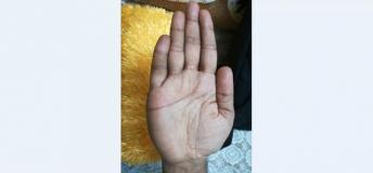 Fish Sign With Mouth Towards Sun Mount