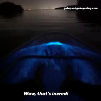 See-Through Kayaking In Florida's Bioluminescent Waters Is Magical