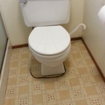 Funny and Weird Albino Animals