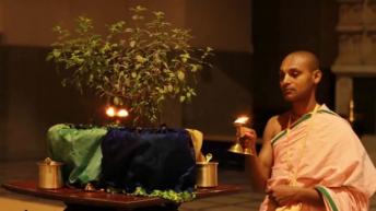 ठंडी तासीर वाली ये बीज पेट और कमर की चर्बी को ऐसे उड़ा देगी जैसे कभी थी ही नहीं