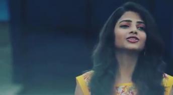 Best whatsapp videos