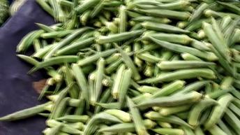 World Famous Chaat in Bulandshahr | Technical Sagar Vlogs