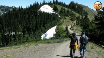 காடுகளில் நிகழ்ந்த வினோதமான மர்மங்கள்! | Weird Thin