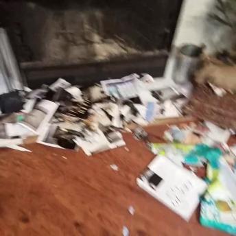 Huge Newfoundland puppy destroys house, feels no guilt