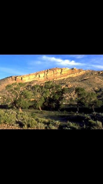 THE CRYPTID REPORT #6 (Montana) ~ Little People & Thunderbirds, plus sneak peeks!