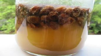 काली किशमिश का पानी पीने के फायदे आपको हैरान कर देंगे  Natural Ayurveda