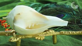 क्या आप जानते हैं शंख बजाने या घर में रखने के फायदे | शंख कितने प्रकार के होते हैं और उनके फायदे