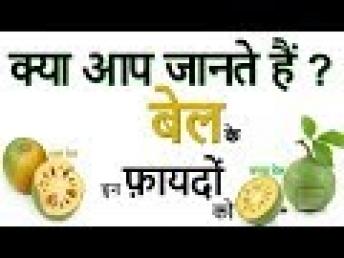 Bael Fruit or Wood Apple Benefits | बेल के फ़ायदे जानिए