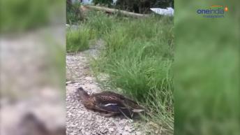 എന്റെ പൊന്നോ ഇതാണ് വേറെ ലെവല്&zwj; അഭിനയം