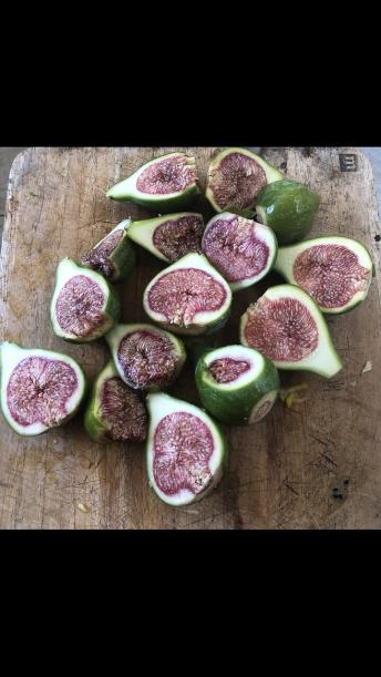 Health Alkemy Community Dinner Talks Dec 22 2023 PART 2 - Winter Health Ideas