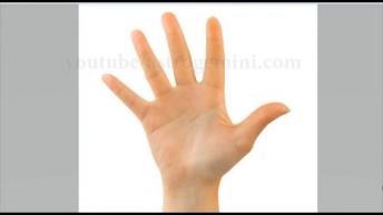 सफल साहित्यकार बनाने की रेखा। ..क्या आपके हाथ में है 