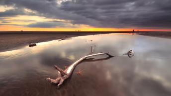 Auckland - Top 5 Travel Attractions