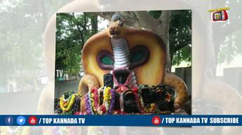 ಹಾವಿನಲ್ಲಿ ನಾಗಮಣಿ ಉತ್ಪತ್ತಿ ಆಗುವುದು ಹೇಗೆ ಅŃ