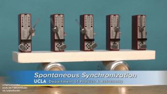 Amazing oscillation synchronisation #amazing #physics