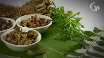 Amla Juice Benefits | आंवला एक फायदे अनेक | घरेलु नुस्खे | Healthy Remedy