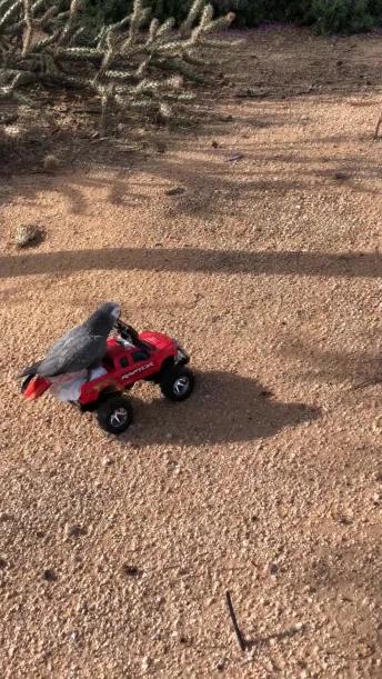 Parrot Has The Need For Speed