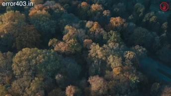 World's most dangerous and poisonous plants in Hindi