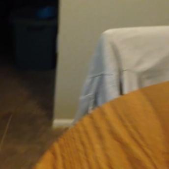 Animal Stealing Food 