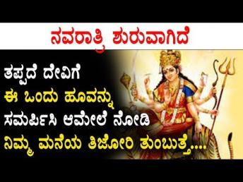 ನವರಾತ್ರಿ ಶುರುವಾಗಿದೆ ತಪ್ಪದೆ ದೇವಿಗೆ ಈ ಒಂದು  