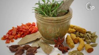 Home Remedies For Head Lice | जूँ भगाने का रामबाण घरेलु नुस्खा | Healthy Remedy