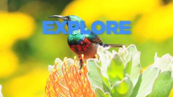 Cape Town &ndash; Top 5 Travel Attractions