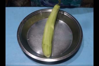 बिना मावे के लौकी की बर्फी आसानी से बनाये  Lauki ki Barfi Recipe  Ghiya ki barfi