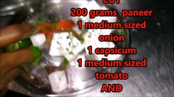 BEST RECIPE OF PANEER TIKKA