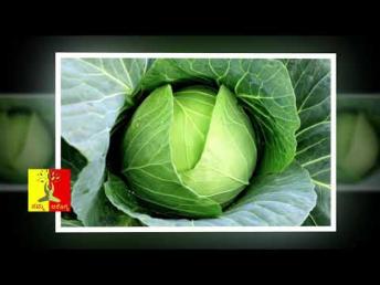 ಎಲೆಕೋಸಿನ ಎಕ್ಸಲೆಂಟ್ ಆರೋಗ್ಯಕರ ಉಪಯೋಗಗಳು ? | Health benefits 