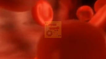 आयरन की कमी को दूर करता है यह आहार गर्भवती औरतें जरूर देखें