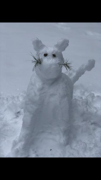 Dog destroys snow-cat with extreme prejudice 
