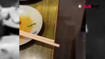 Raw chicken jumps off plate : இறந்த பிறகும் தட்டில் இருந்து குதித்த Chicken-வீடியோ